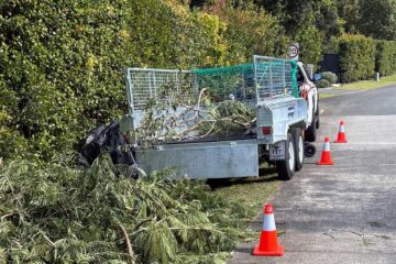 What Actually Counts as Green Waste Removal in NSW?
