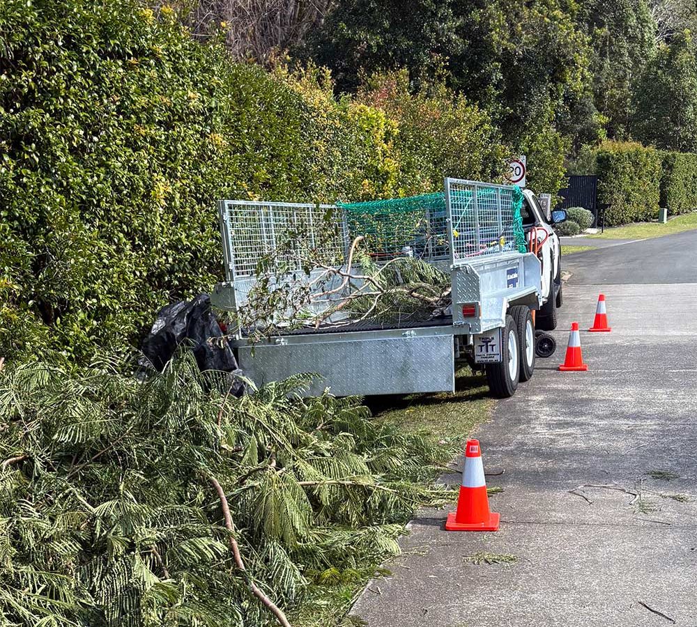 What Actually Counts as Green Waste Removal in NSW?