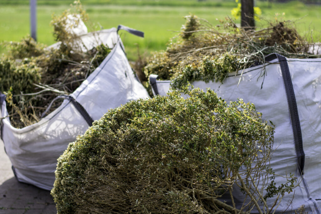What Actually Counts as Green Waste Removal in NSW?