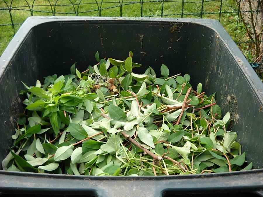 What Actually Counts as Green Waste Removal in NSW?